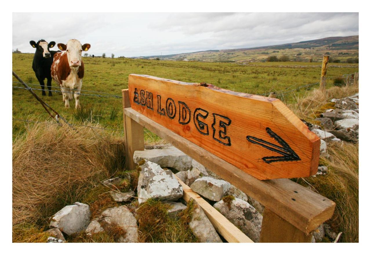Ash Lodge Moytirra 외부 사진